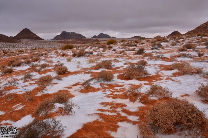 Neve cai em deserto da Arábia Saudita e fascina moradores Virgulistas